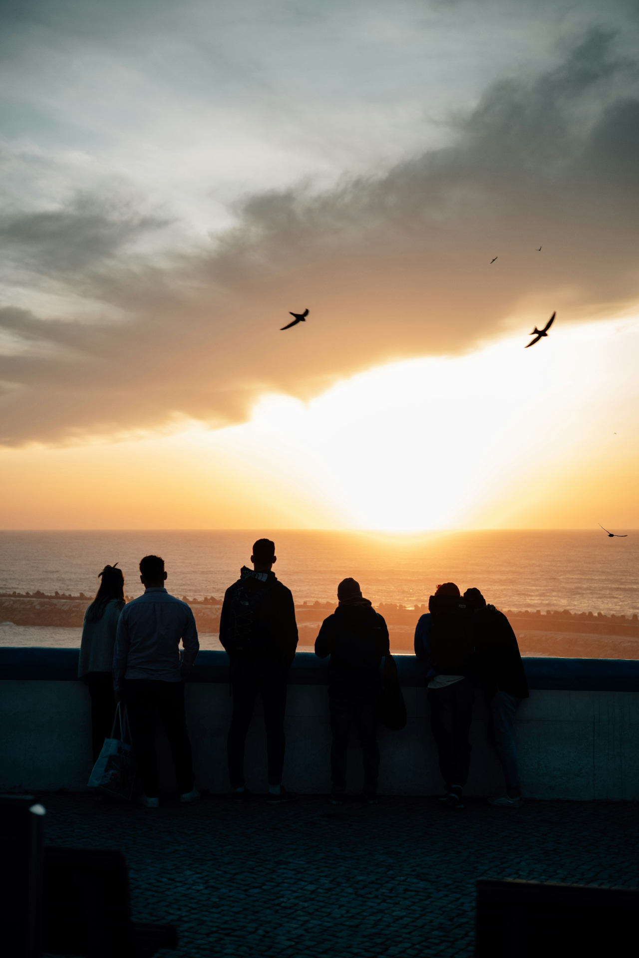 Silhouettes of a group of people standing on a beach or cliffside at sunset, looking out at the ocean with birds flying in the distance